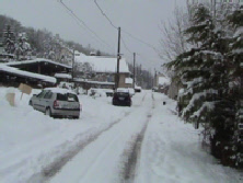 wp100577c1_0f.jpg