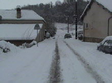 wp105c1256_0f.jpg