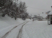 wp22ef9766_0f.jpg