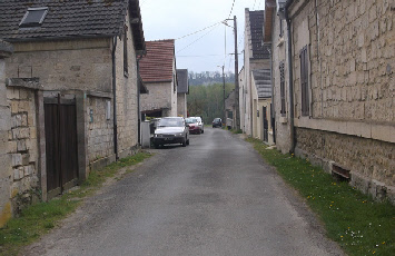 wp53f5fd7e_0f.jpg
